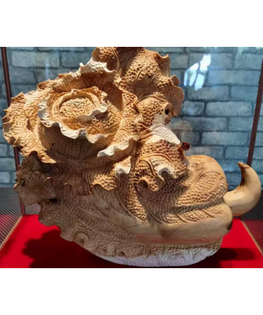 Bai CAI Chinese cabb...